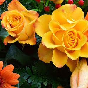 Meet your Posher, Khamiyah